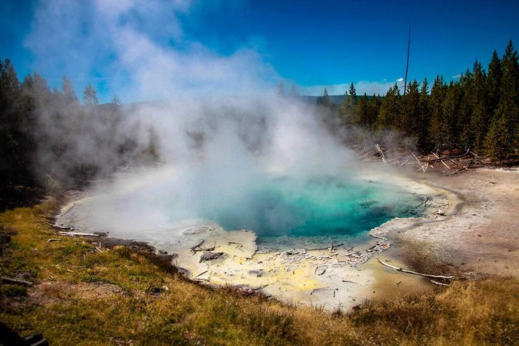 White Owl Retreat Yellowstone Grand Teton Island Park Exterior foto